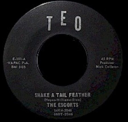 ESCORTS (ab 1964)