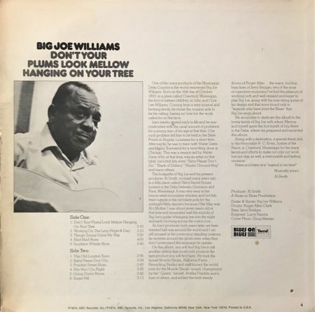 BIG JOE WILLIAMS