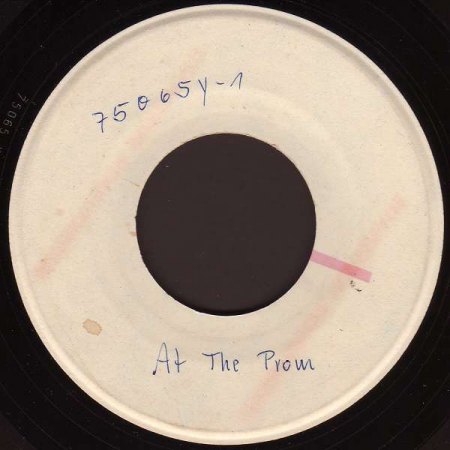 k-72 065 C Promo Flamingos.jpg