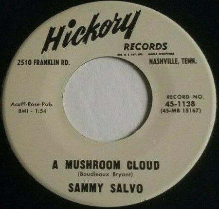 SAMMY SALVO