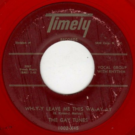 THE GAY TUNES