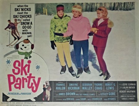 SKI PARTY