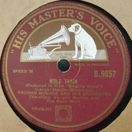Mule Train