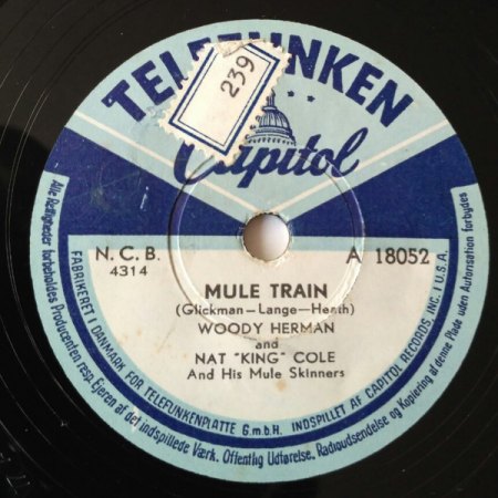 Mule Train