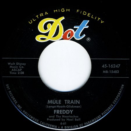 Mule Train