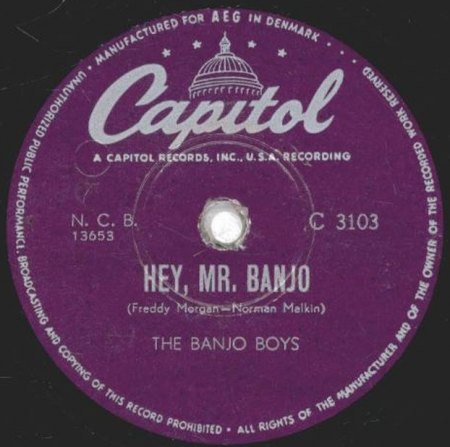 THE BANJO BOYS (USA)