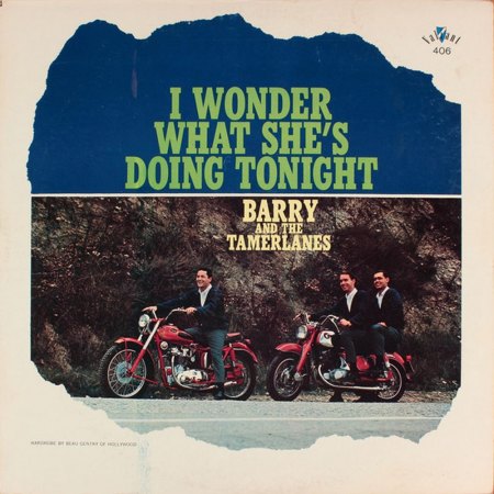 BARRY & THE TAMERLANES