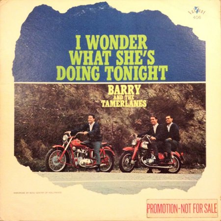 BARRY & THE TAMERLANES