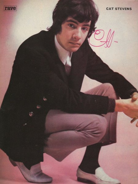 CAT STEVENS