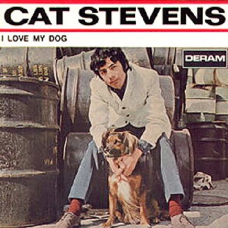 CAT STEVENS