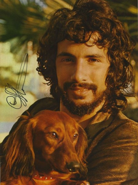 CAT STEVENS