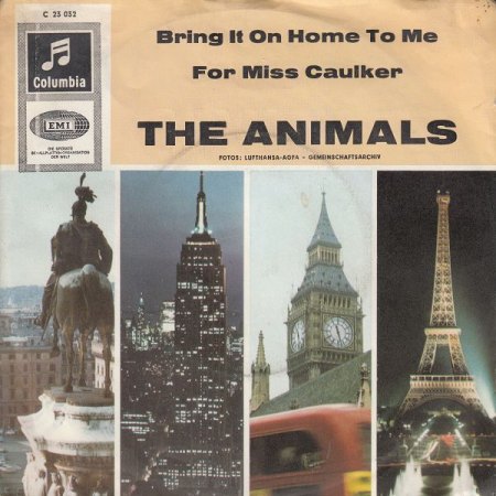 THE ANIMALS