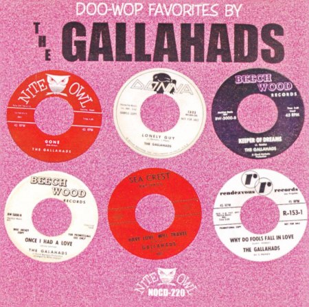THE GALLAHADS aus Seattle
