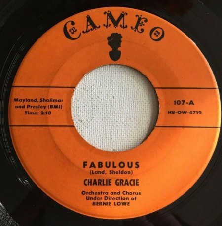 CHARLIE GRACIE - Kurz-Bio und Disco