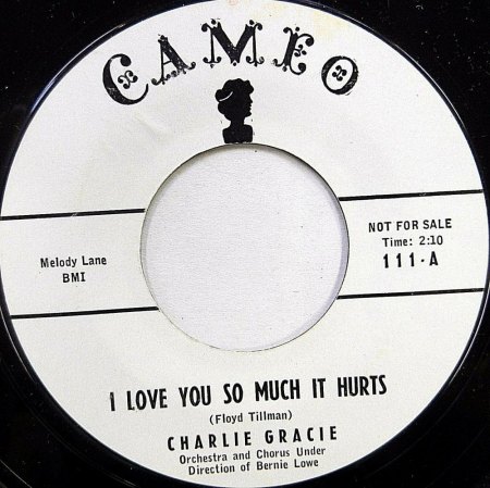 CHARLIE GRACIE - Kurz-Bio und Disco