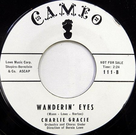 CHARLIE GRACIE - Kurz-Bio und Disco