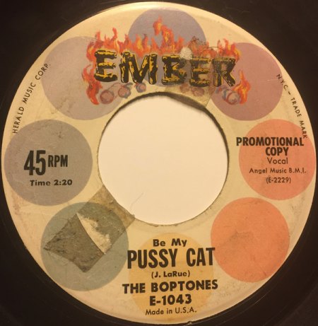 THE BOPTONES