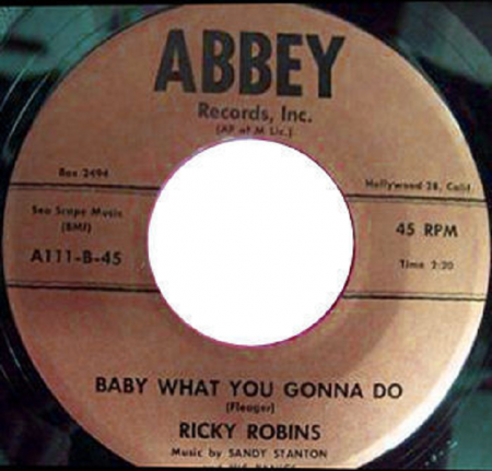 RICKY ROBINS