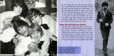 The MERSEYBEATS