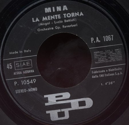Mina ---30 (30)_Bildgröße ändern.jpg