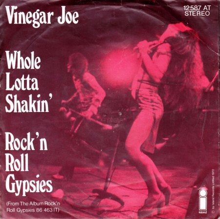 WHOLE LOTTA SHAKIN' GOIN' ON  -  Shake Baby shake