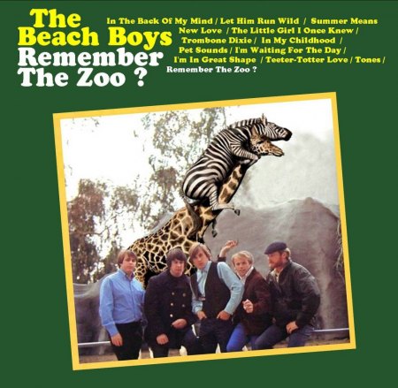 BEACH BOYS - CD's