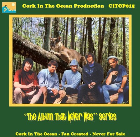 BEACH BOYS - CD's