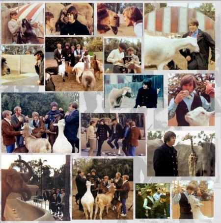 BEACH BOYS - CD's