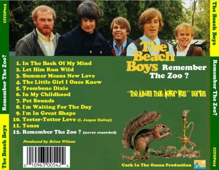 BEACH BOYS - CD's