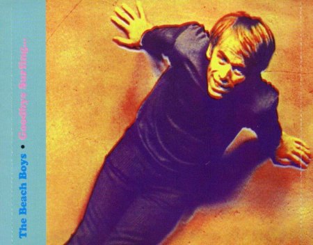 BEACH BOYS - CD's