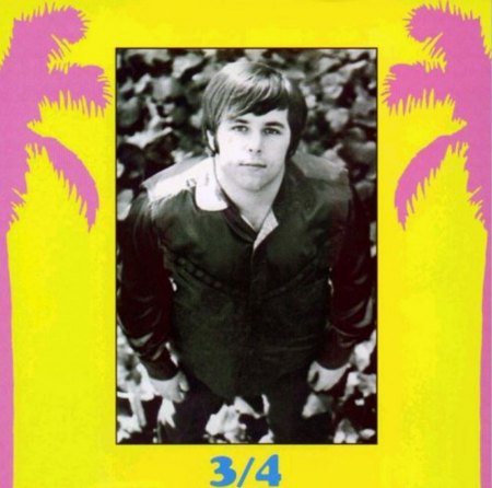 BEACH BOYS - CD's