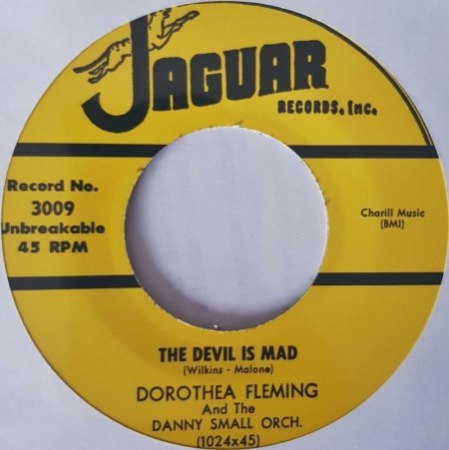 DOROTHEA FLEMING