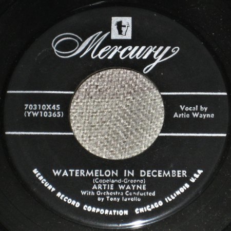 ARTIE WAYNE - mehrere