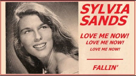 SYLVIA SANDS