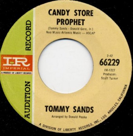 TOMMY SANDS in den USA und Biographisches