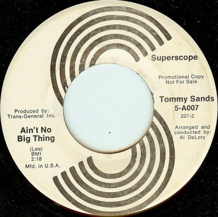 TOMMY SANDS in den USA und Biographisches