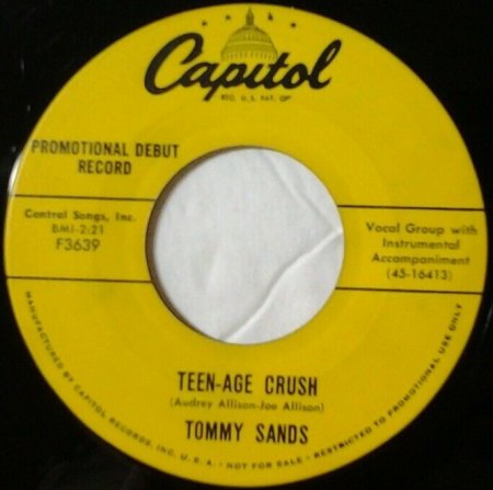 TOMMY SANDS in den USA und Biographisches