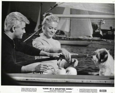 LOVE IN A GOLDFISH BOWL