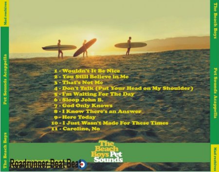 BEACH BOYS - CD's