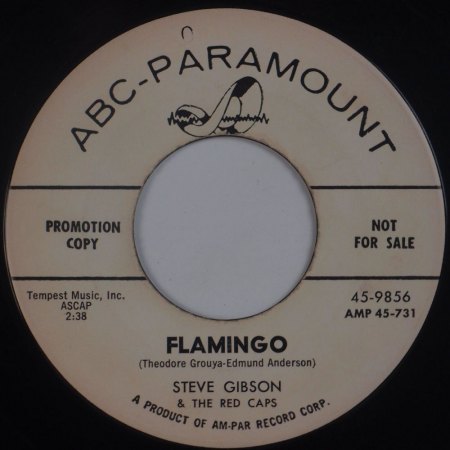 STEVE GIBSON und seine Red Caps