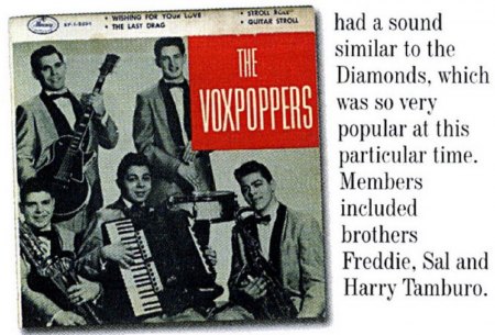 VOXPOPPERS