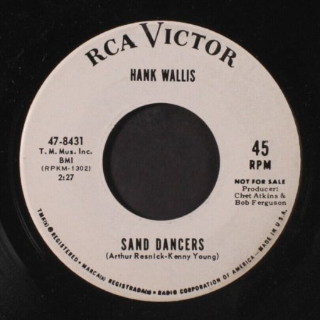 HENRY STRZELECKI (HANK WALLIS)