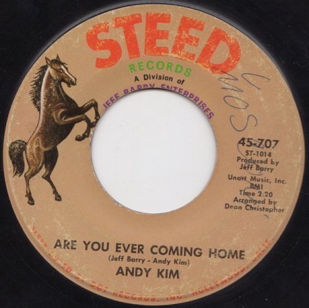 ANDY KIM