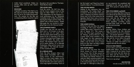 DAVIE ALLAN & THE ARROWS