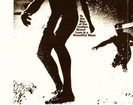 DAVIE ALLAN & THE ARROWS