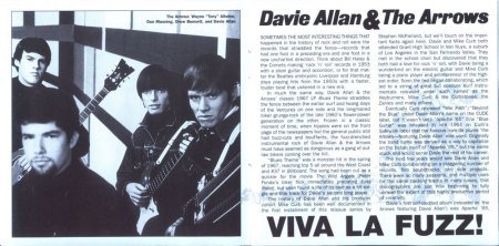 DAVIE ALLAN & THE ARROWS