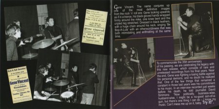 GENE VINCENT CD's