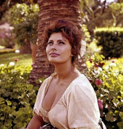 SOPHIA LOREN