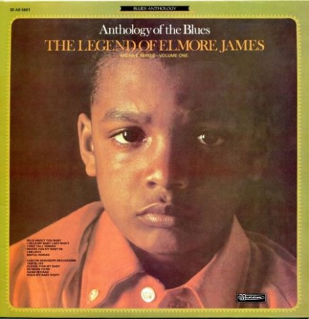 ELMORE JAMES - LPs