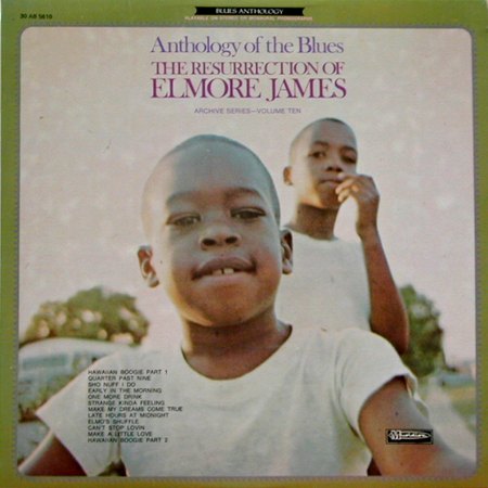 ELMORE JAMES - LPs